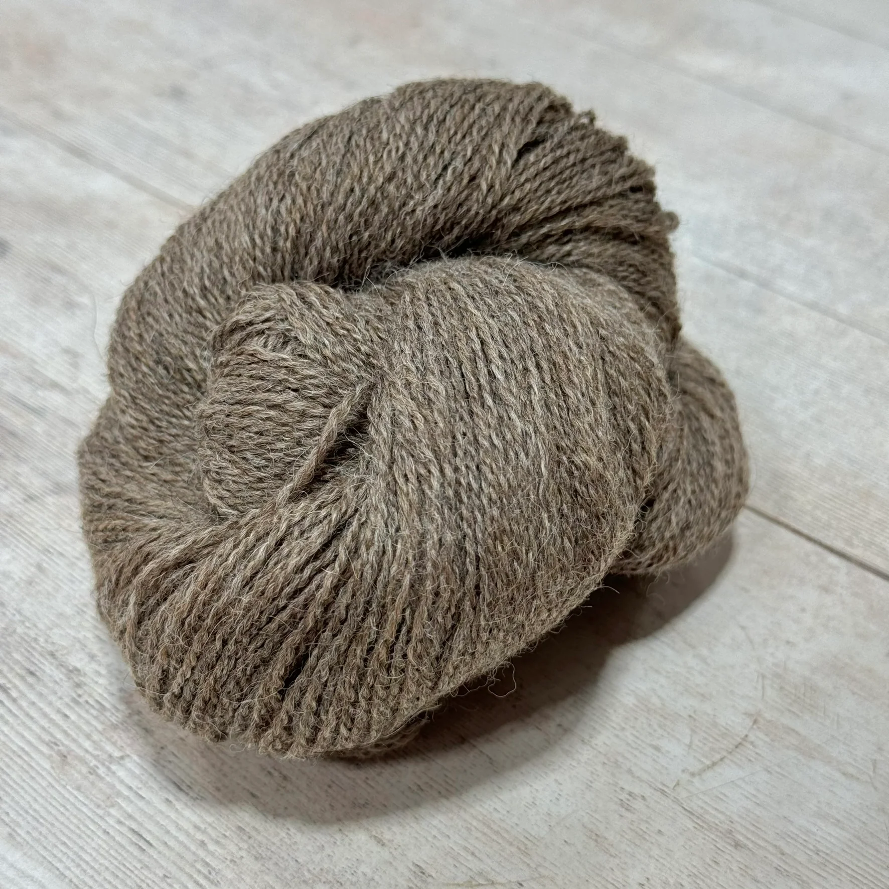 Alpaca 2 - Image 25