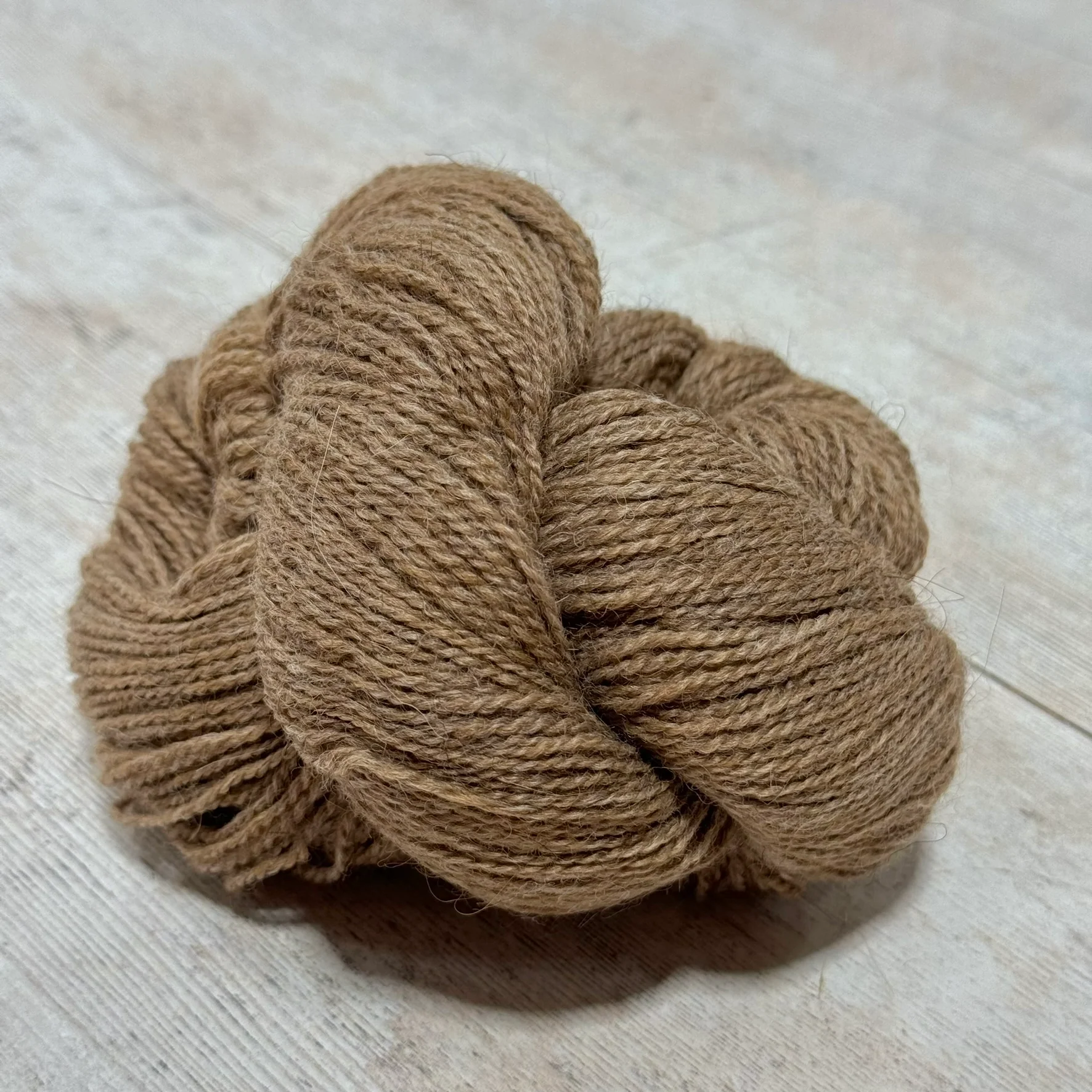 Alpaca 2 - Image 26