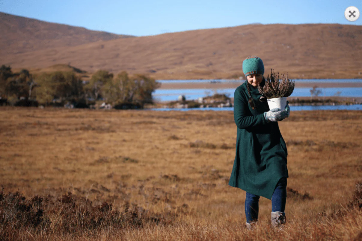 Buachaille by Kate Davies - Image 7