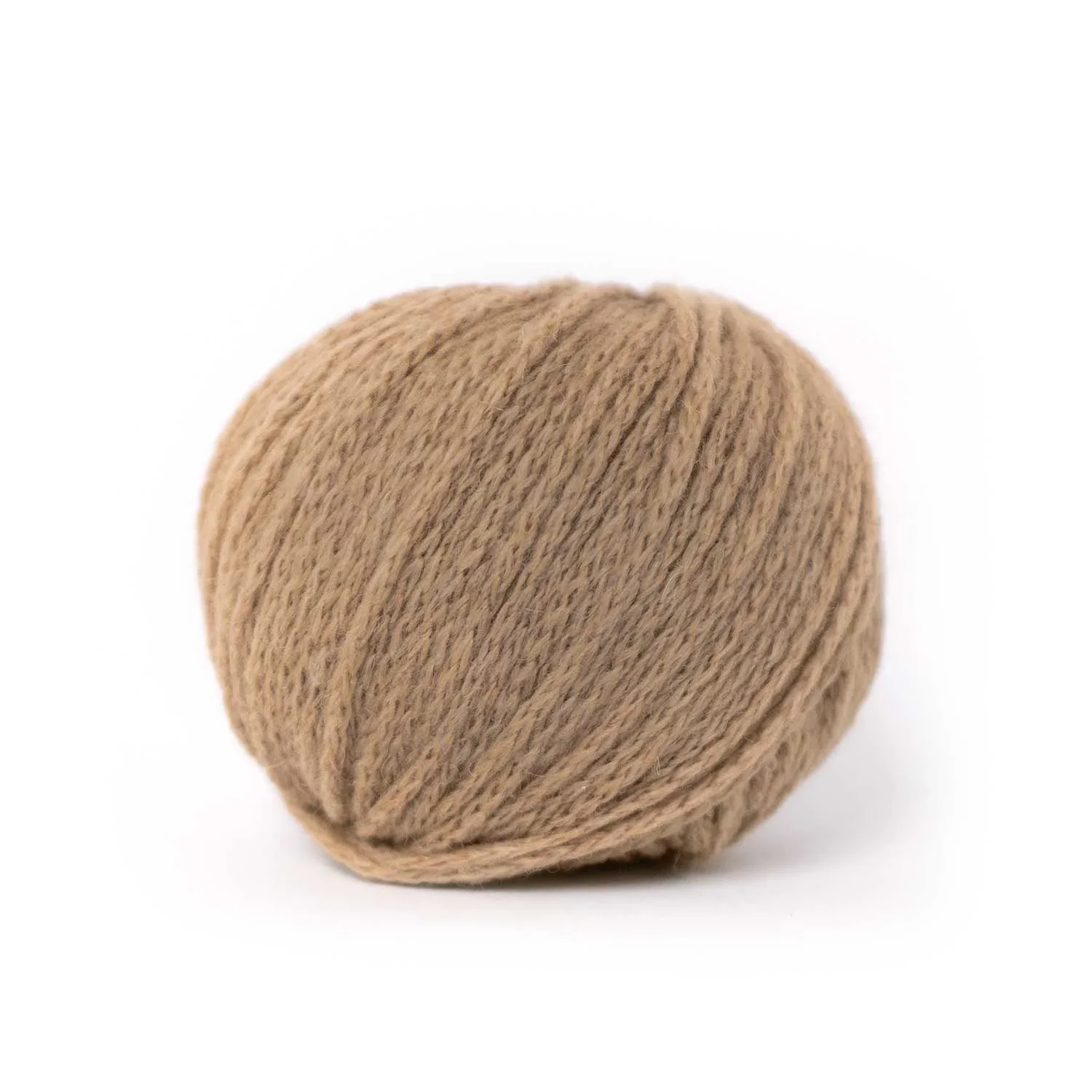 Camel DK - Image 10