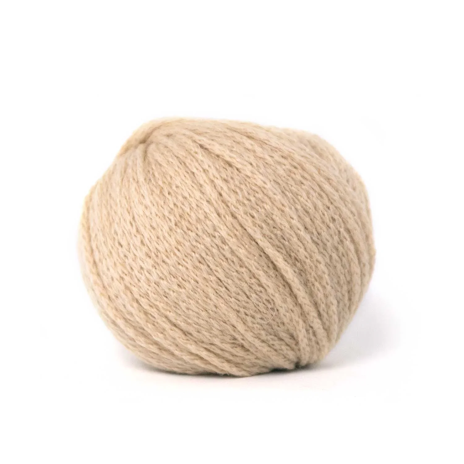 Camel DK - Image 11