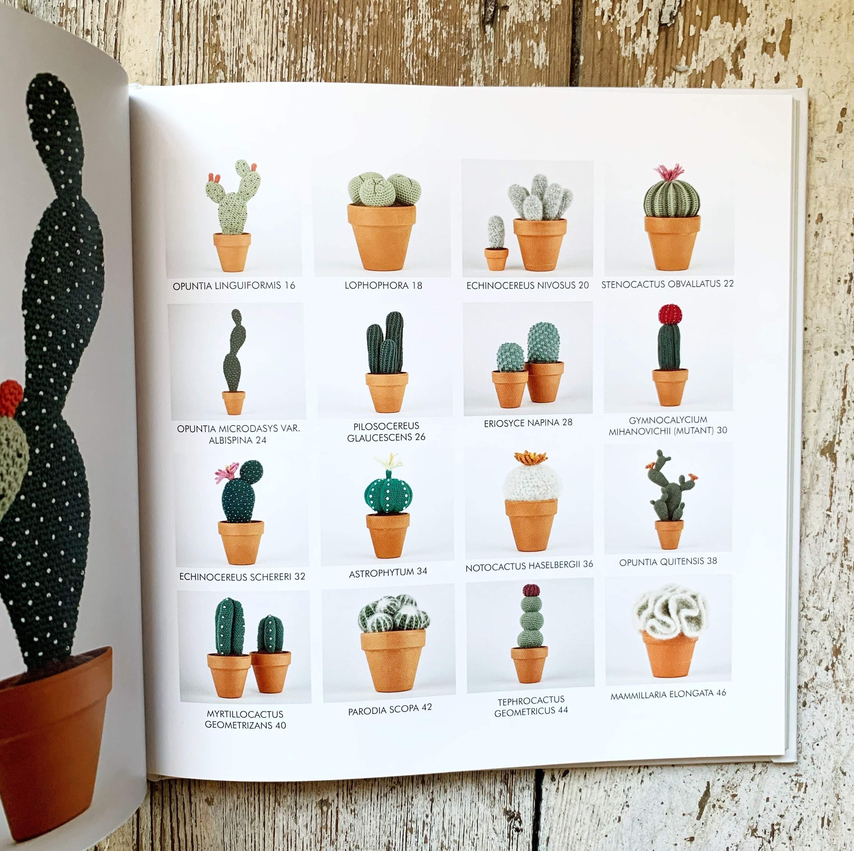 Crocheted Cactuses - Image 2