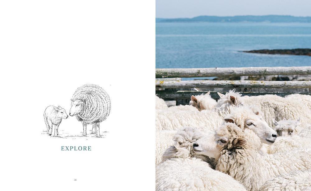 Making Magazine - No. 2 Fauna - Image 35