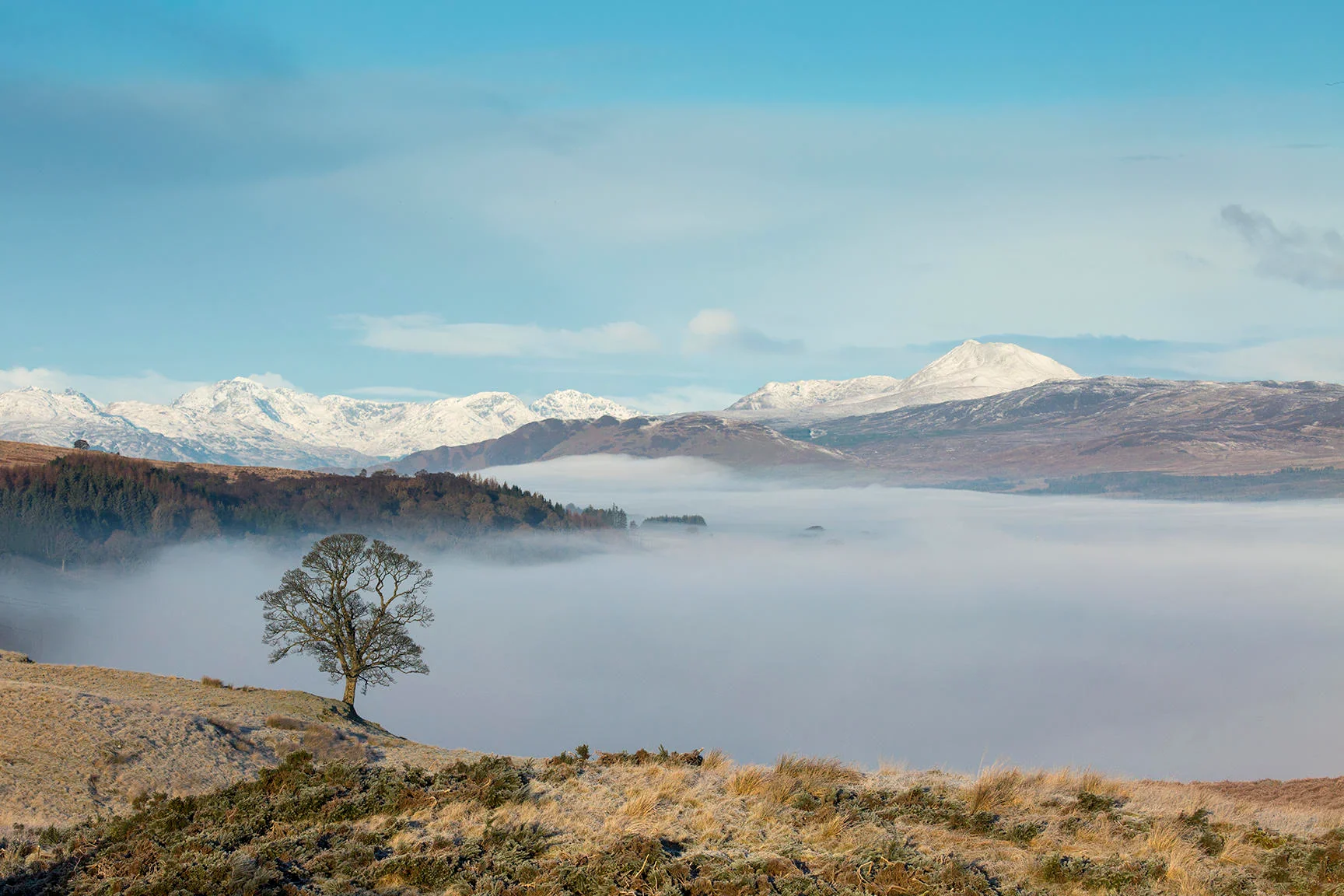 Ootlier Issue 2: Range - Image 3