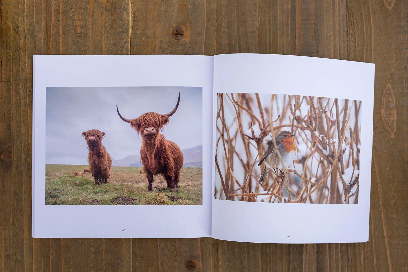Ootlier Issue 2: Range - Image 9