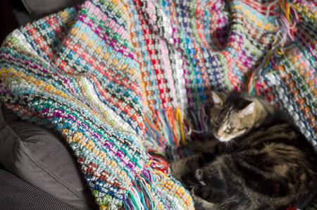 Pixel Blanket Crochet Pattern - Image 2