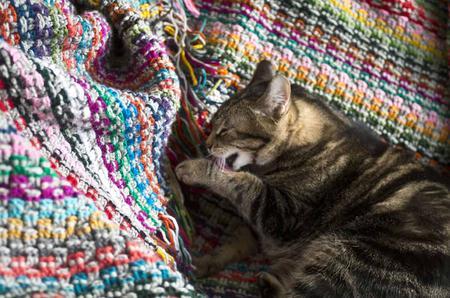 Pixel Blanket Crochet Pattern - Image 5