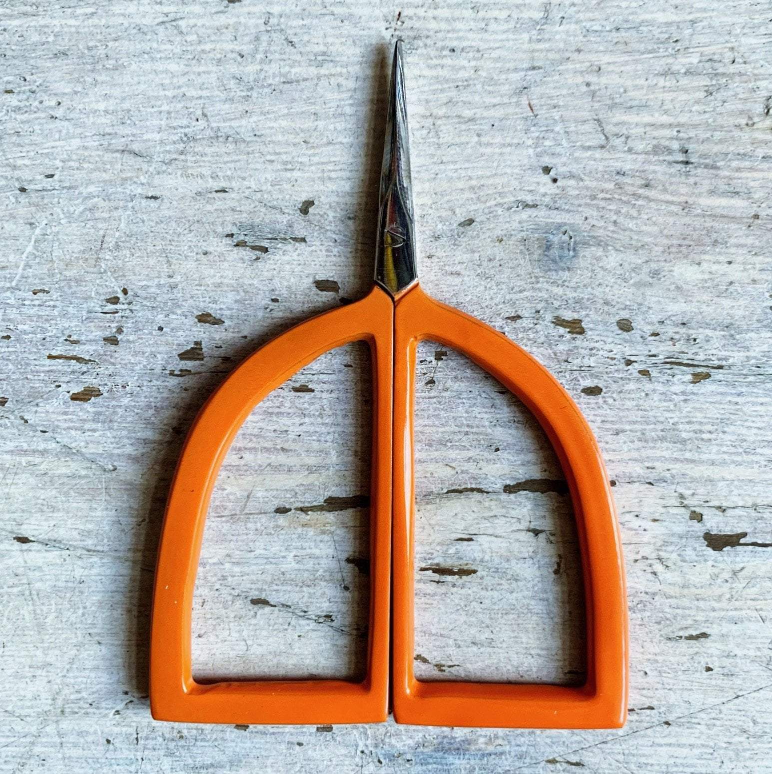 Pudgie Scissors - Image 4