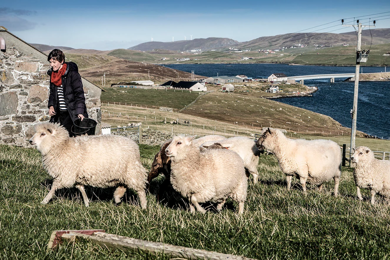 Shetland Oo by Kate Davies - Image 5
