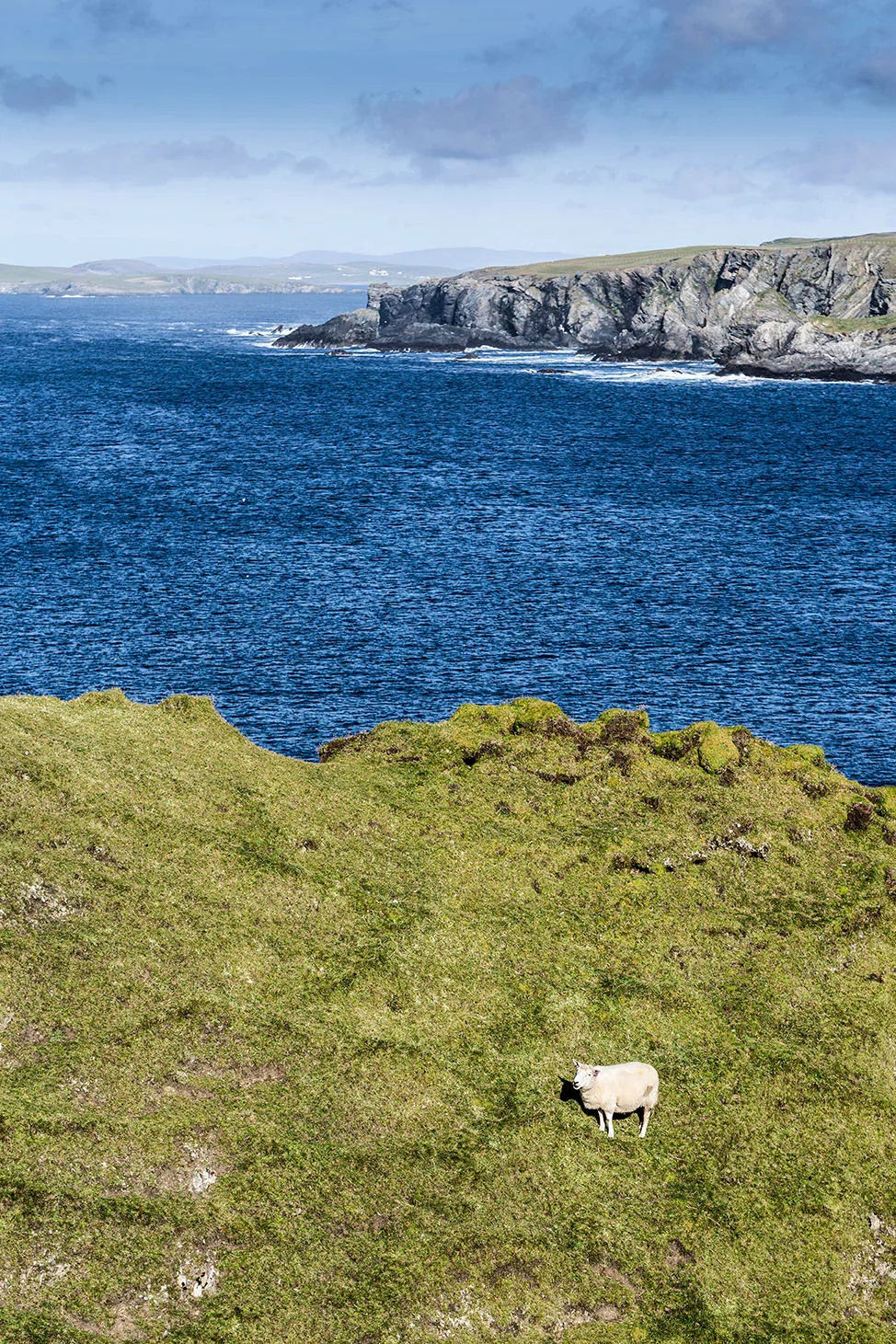 Shetland Oo by Kate Davies - Image 9