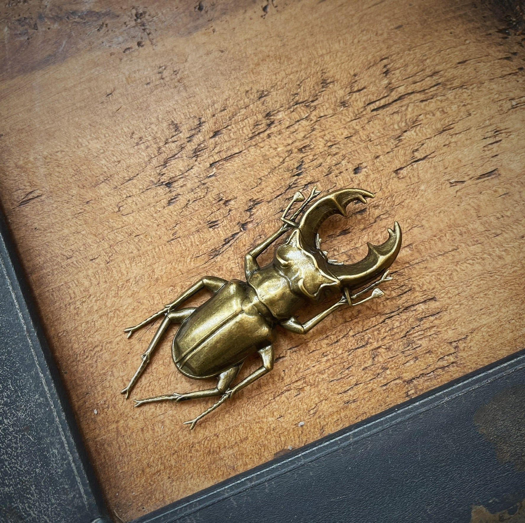 Stag Beetle Brooch - Bronze - Image 2