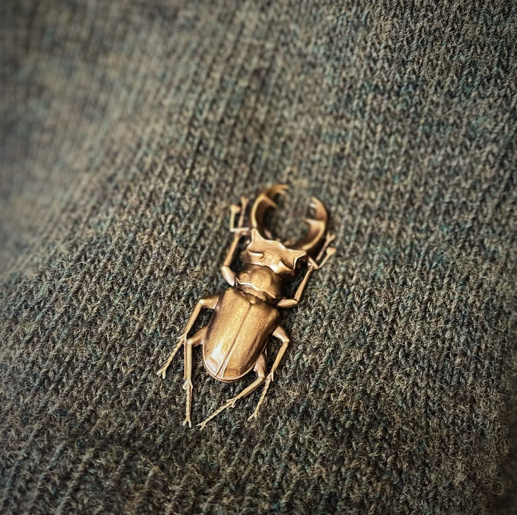 Stag Beetle Brooch - Bronze - Image 5