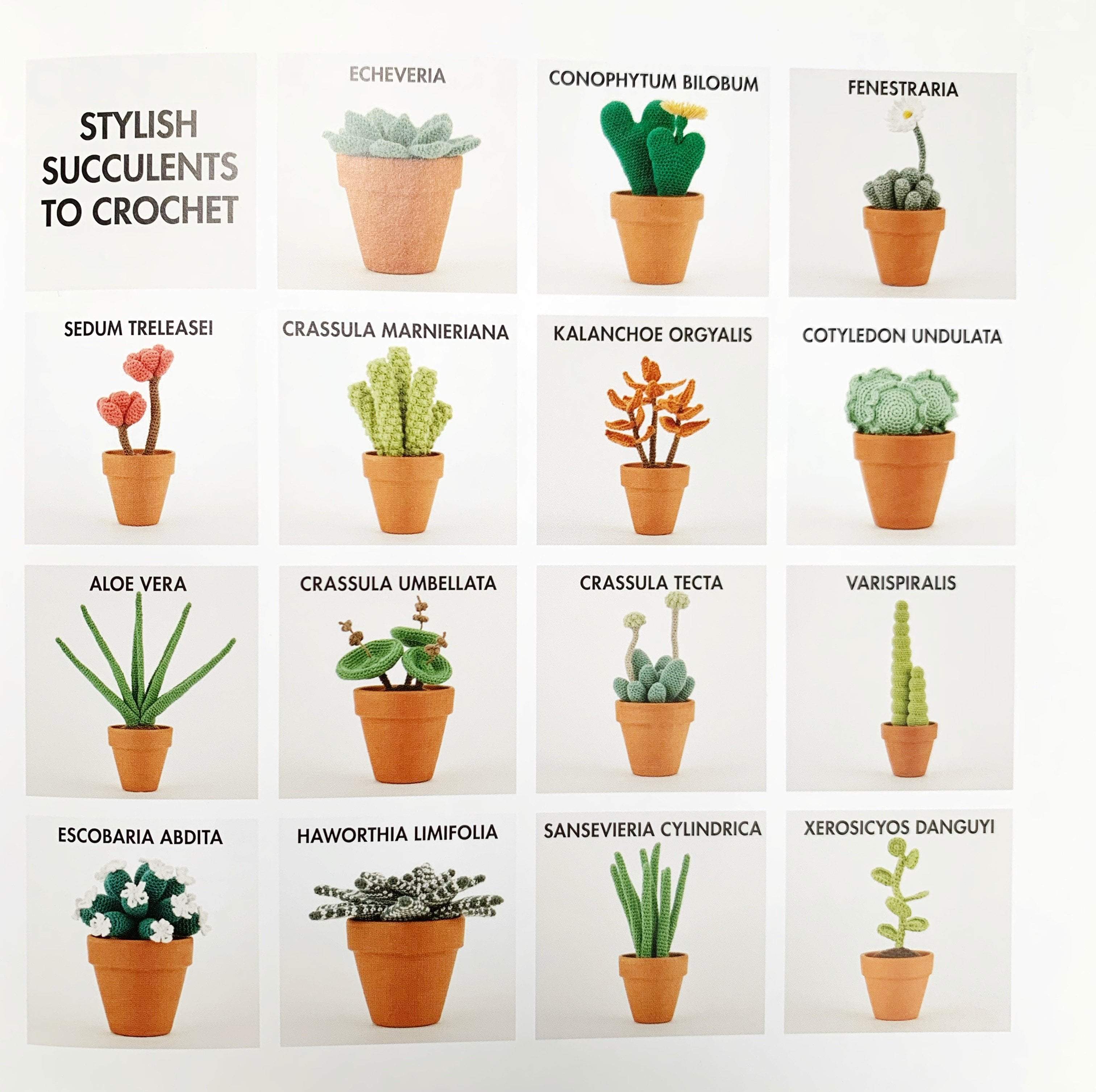 Stylish Succulents to Crochet - Image 3