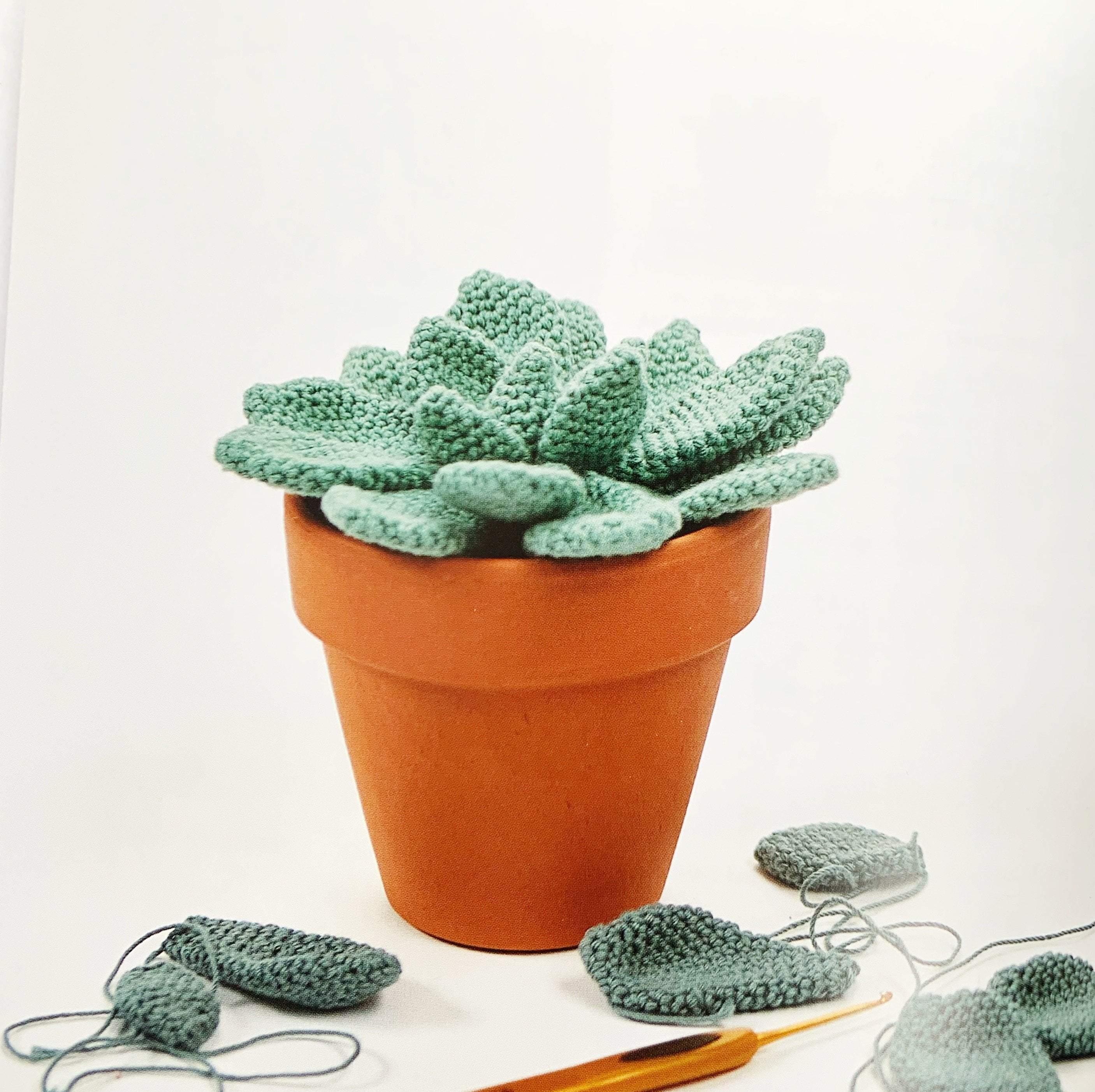 Stylish Succulents to Crochet - Image 4