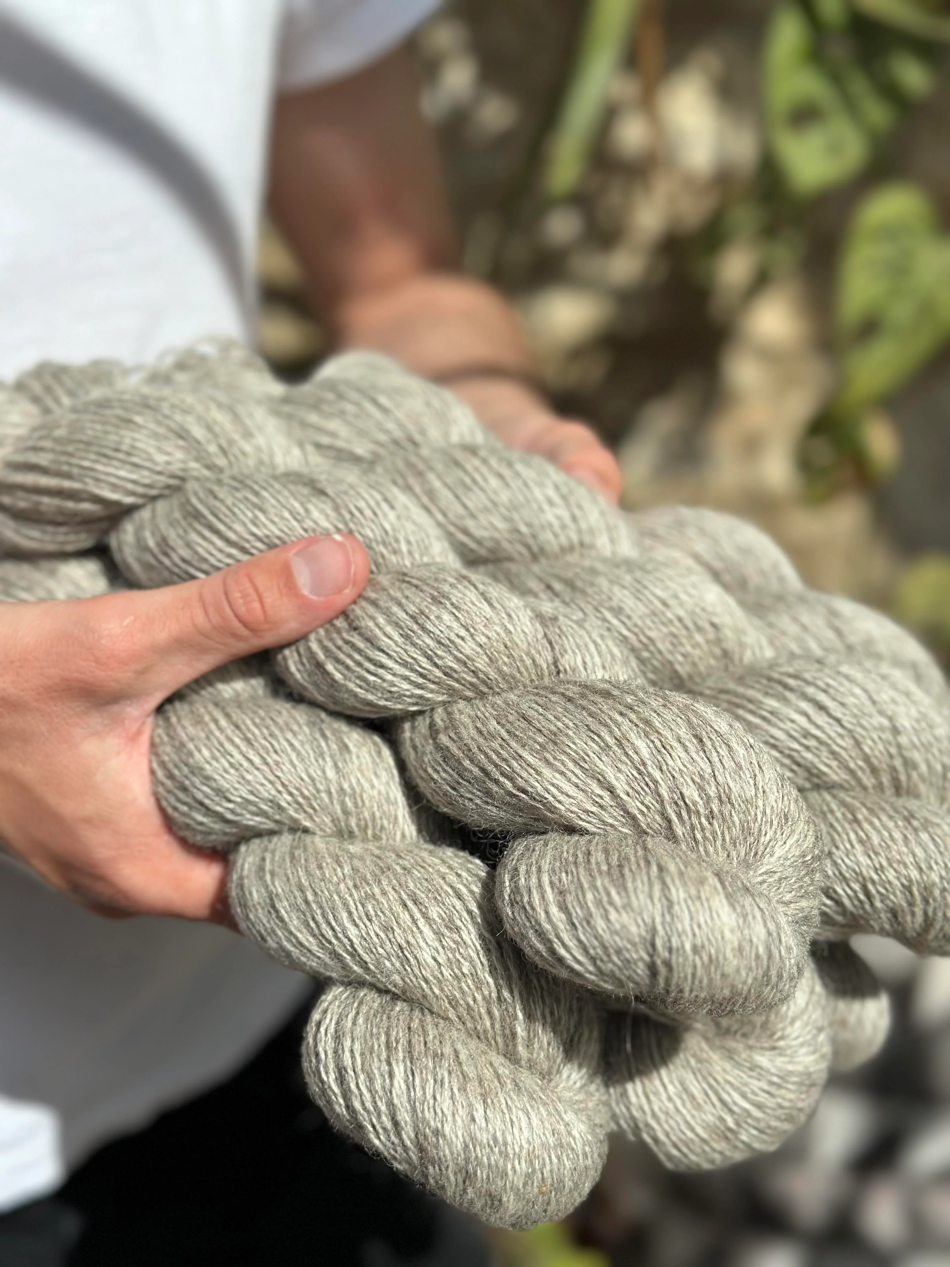 The Raw Wool Company 4ply - Image 9